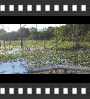../pictures/Beaver Marsh/DSCF9056_1_small_icon.jpg